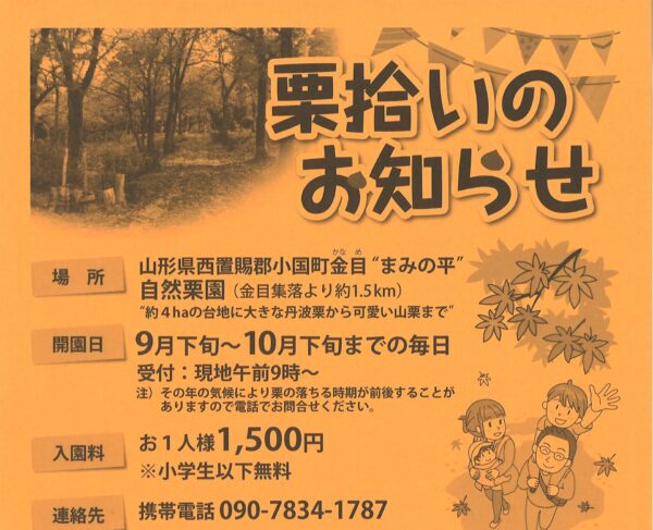 「まみの平 自然栗園」栗拾いのお知らせ（9/28(土）開園 予定）