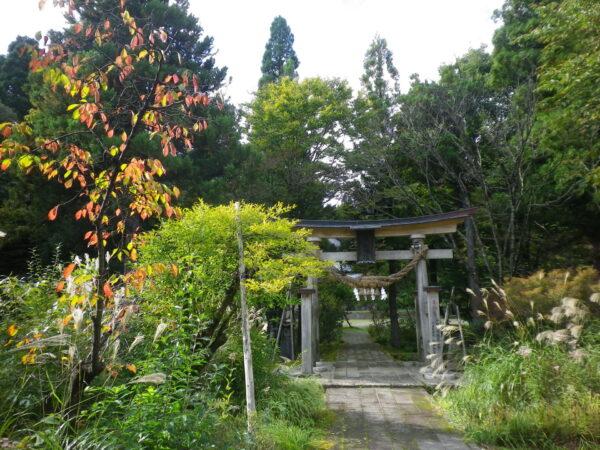 大宮子易神社　紅葉情報（10/17）