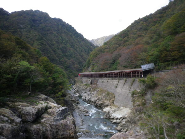 「赤芝峡」紅葉情報（10/25）