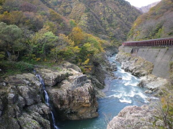 「赤芝峡」紅葉情報（11/8）