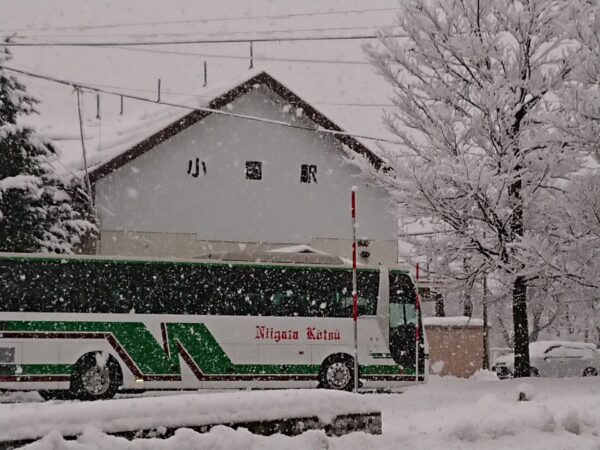 12/16 深々と雪が降っています